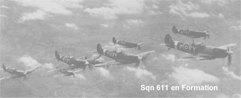 SQN611.jpg